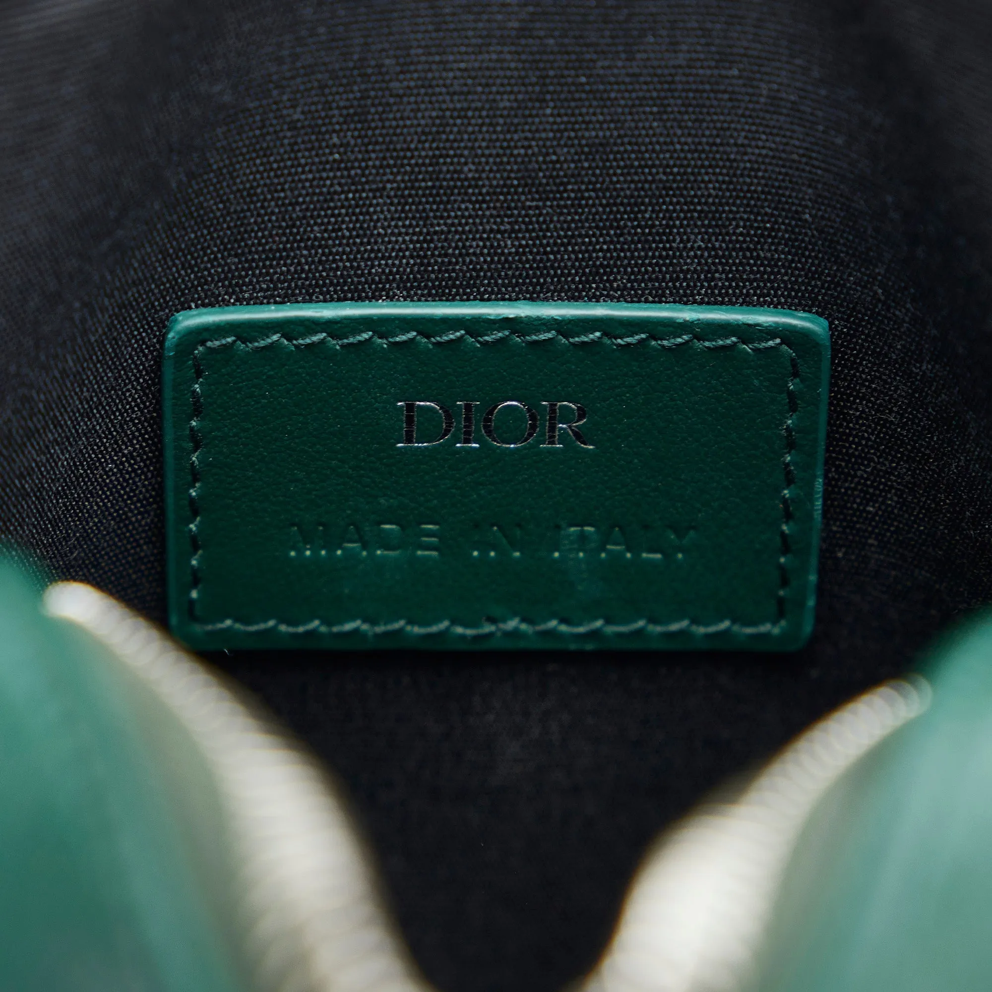 Dior World Tour Green Oblique Canvas
