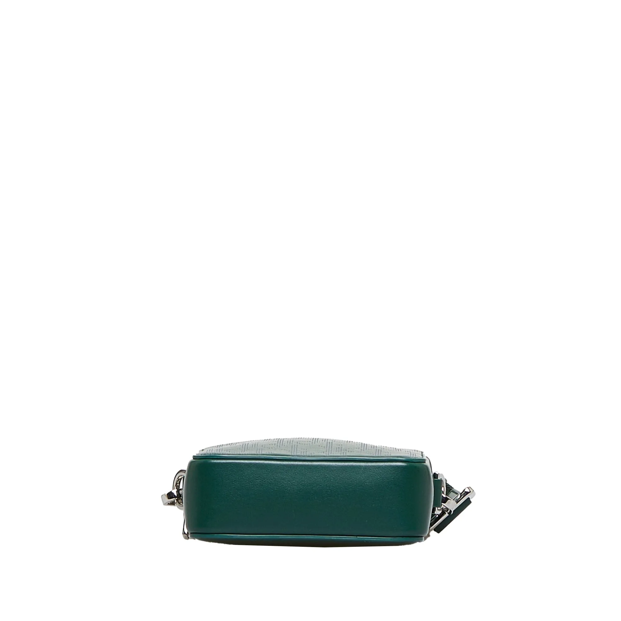 Dior World Tour Green Oblique Canvas